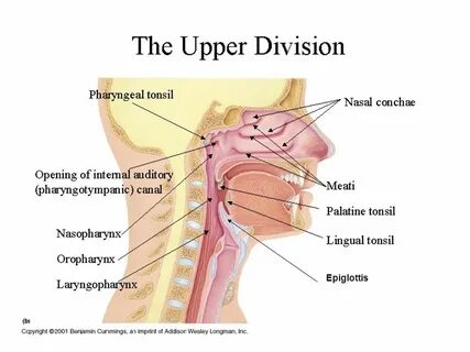Internal open