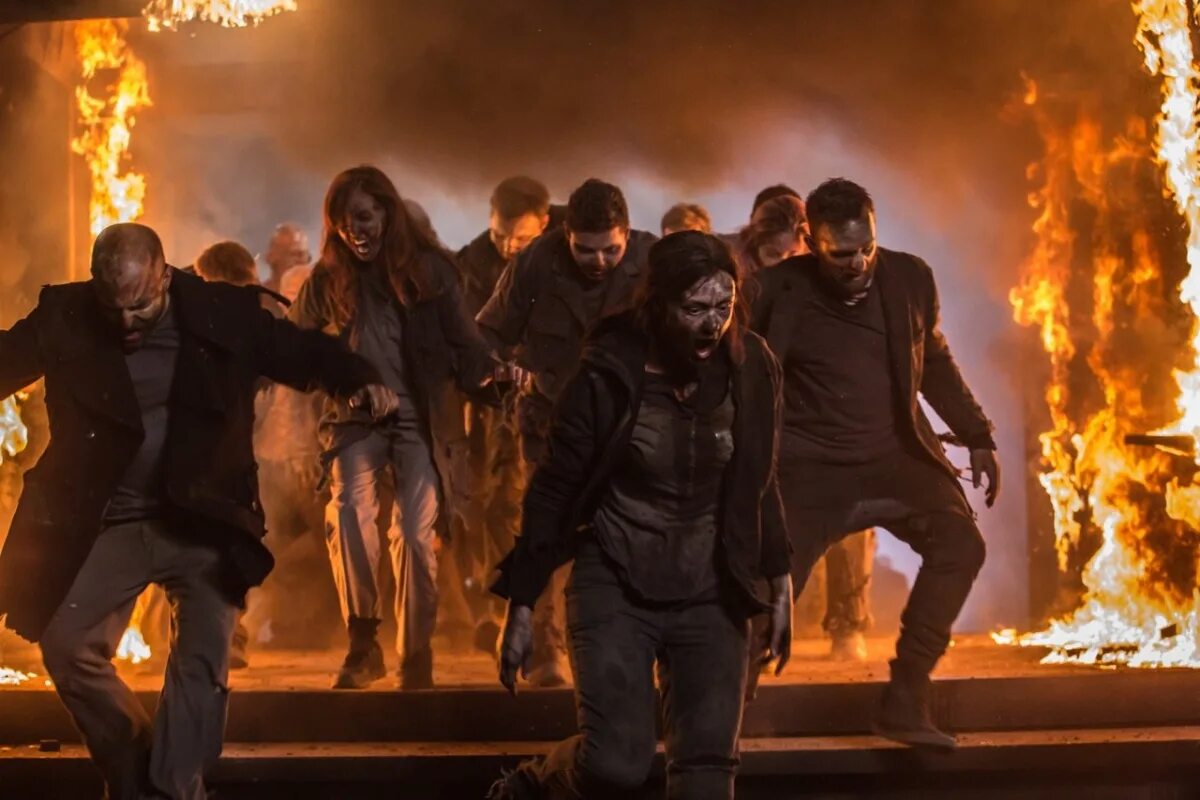 зомби много солнца. зак снайдер рассвет мертвецов. зомби много солнца. Plants vs zombies солнце. зомби много солнца.