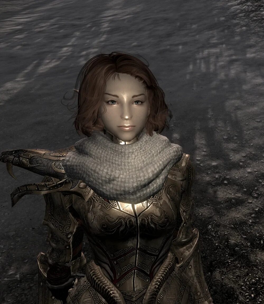 Лорные пресеты скайрим. Skyrim пресеты лиц. Спутница скайрим жасмин. Skyrim character mods. Talindra skyrim.