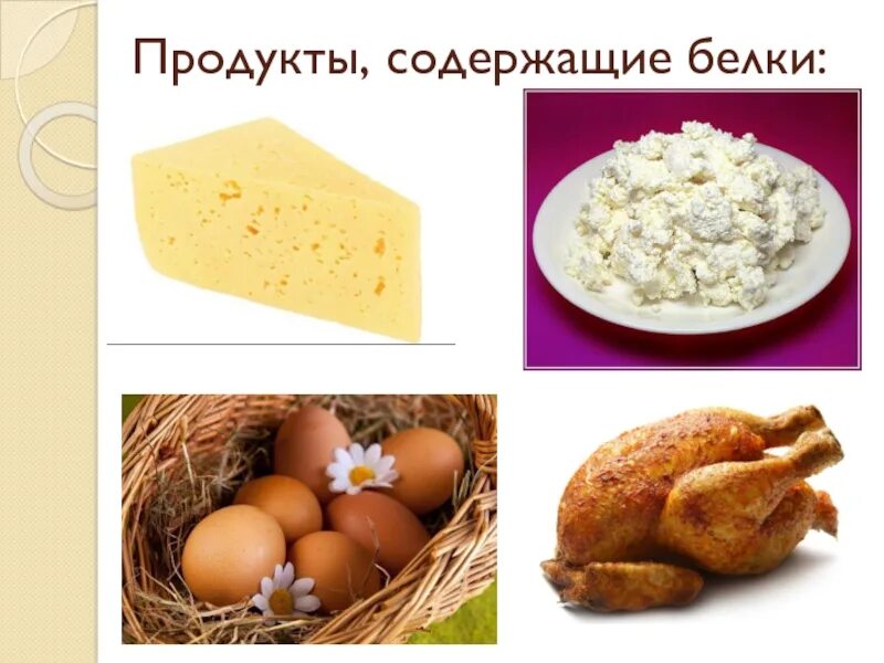 Белок в продуктах. Продукты содержащие белки. Белки в каких продуктах. В каких продуктах содержатся белки. Еда содержимая белок