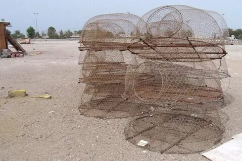 Ловушка для крабов