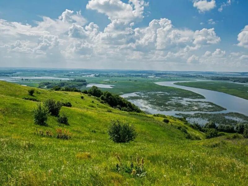 Река волга в татарстане. Река Свияга в Татарстане. Тихий Плес Свияга. Тихий Плес Казань. Река Свияга Ульяновск.