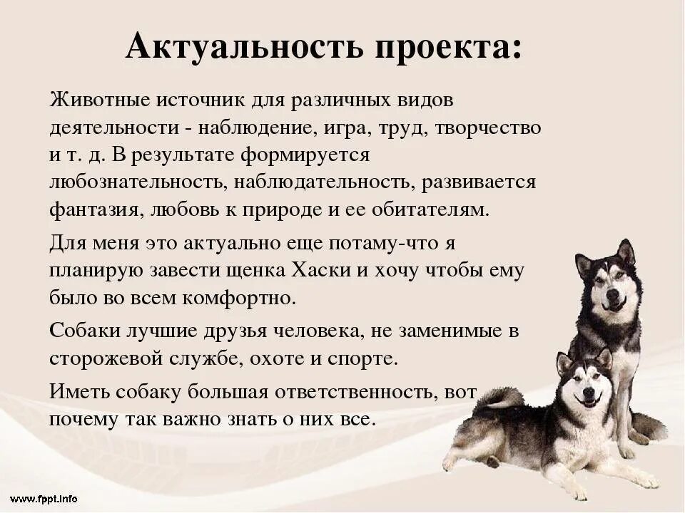 Как правильно воспитывать собаку. Проект хаски собака. Актуальность темы породы собак. Рассказ хасок. Актуальность темы про собак.