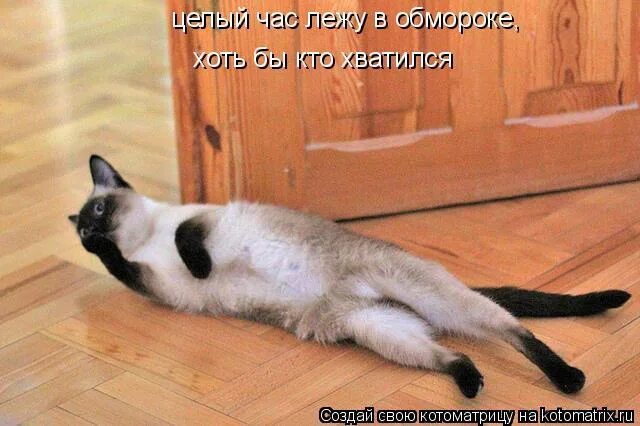 фото где все. марфуша из сказки морозко. идите целый час. дай списать домашку. подстава мем.