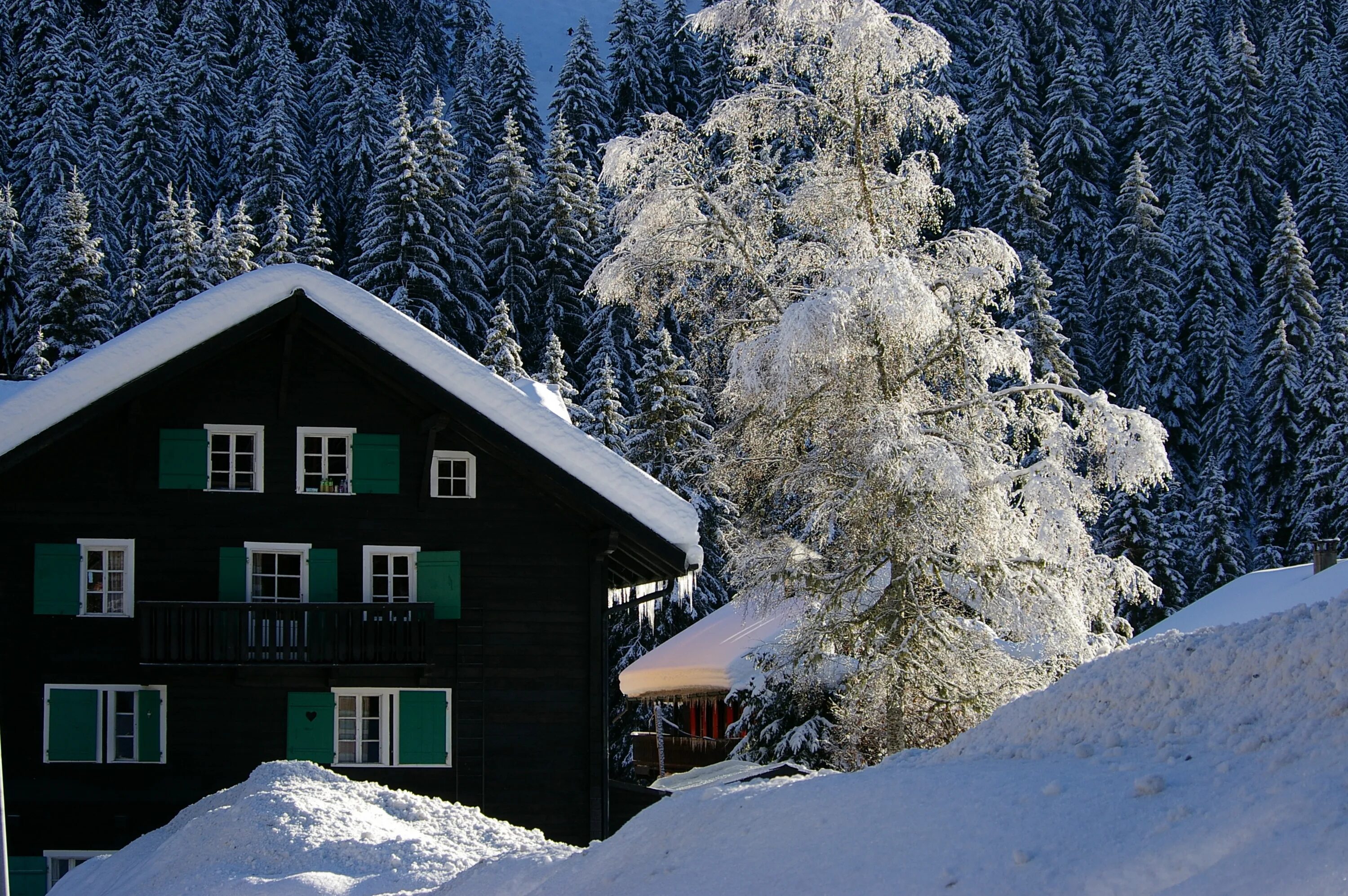 Snow good