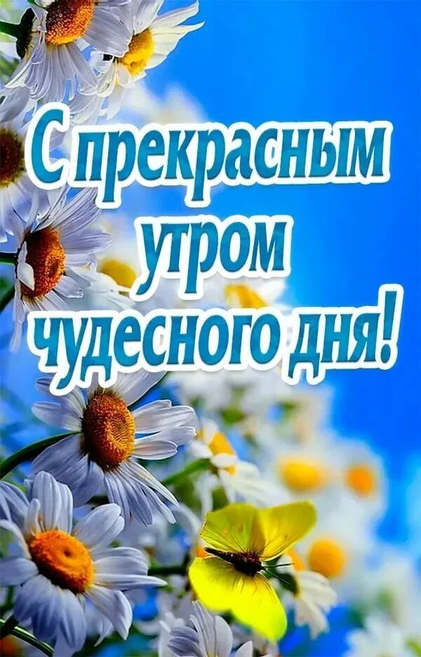 Доброе Воскресное летнее утро. Открытка отличного дня воскресенье. Солнечного настроения и удачного дня. Доброе утро хорошего настроения. Доброе воскресенье лета