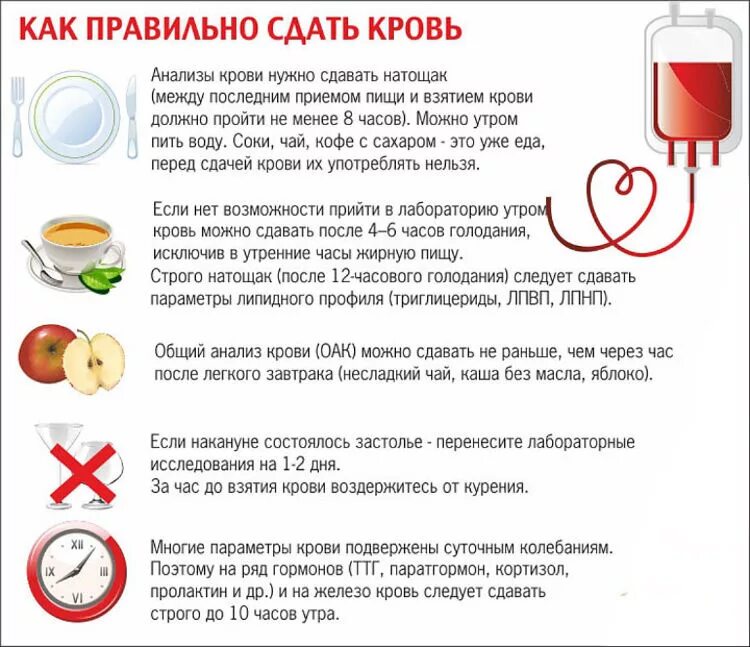 Можно ли обезболивающее на голодный желудок. Как правильно сдавать кровь. что можно есть перед сдачей крови на анализ. что нельзя есть перед сдачей анализа н. памятка по общему анализу крови.