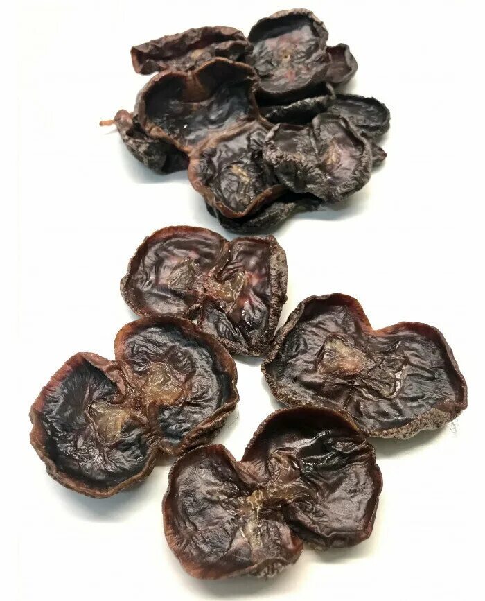 почки говяжьи сушеные. сухие почки. березовые почки блюда. сухие лакомства для собак. почки березы.