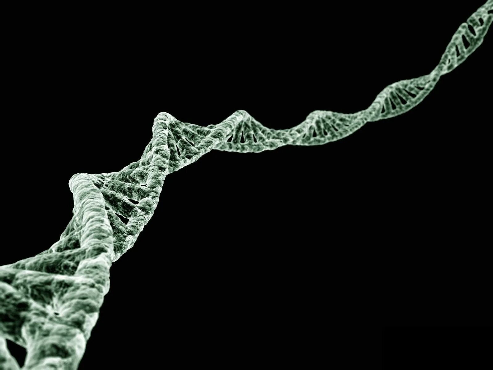 ДНК В микроскопе. ДНК паттерн. ДНК на темном фоне. Молекула ДНК на черном фоне.
