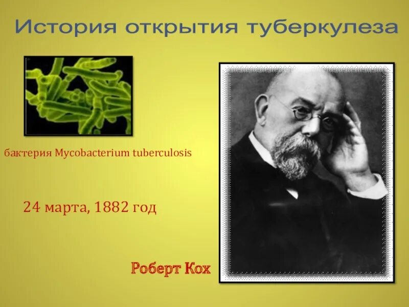 Кох р открытие туберкулезной палочки наука. Р кох открытия. Микобактерия туберкулеза палочка коха. Кох р открытие туберкулезной палочки наука. Туберкулезная палочка палочка коха.