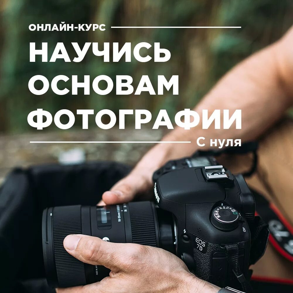 Также будет актуален. Основы фотографирования. Основы фотографирования для начинающих. Фотокурсы для начинающих фотографов. Фотокурсы для начинающих.