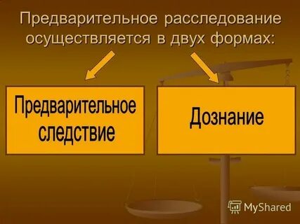 Предварительное следствие субъект деятельности