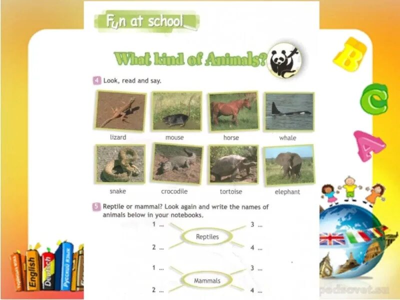 School слова. Mammals and Reptiles 3 класс по английскому. Reptile or mammal look again and write the names of animals below in your Notebooks на русский. Write the names of the animals. Reptile or mammal? Look again and write the names of animals below in your Notebooks перевод на русский.