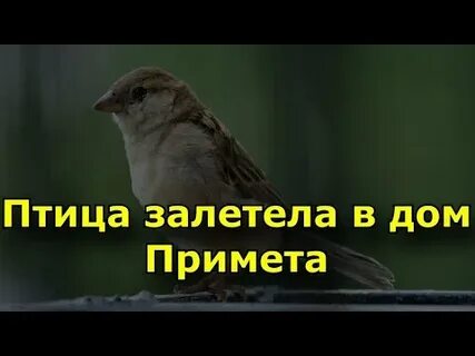 Залетела на работе