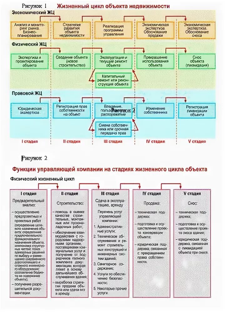 Управление объектами недвижимого имущества. Этапы жизненного цикла недвижимости. Жизненный цикл объектов недвижимости схема. Этапы жизненного цикла объекта недвижимости. Стадии жизненного цикла объекта недвижимости.