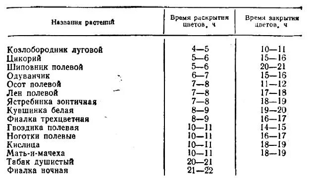 Способы определения времени без часов. Как определить время без часов Обществознание. Время раскрытия и закрытия цветов. Как определить время по птицам.