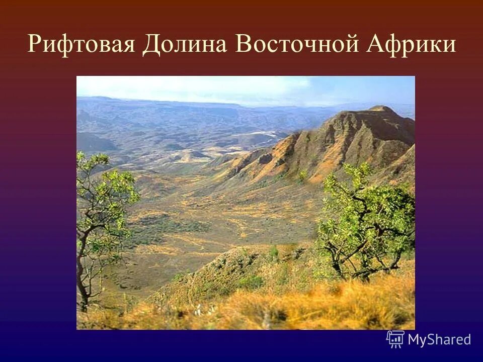 восточно-африканский разлом(рифтовая долина). великая рифтовая долина африканский разлом. рифтовая долина кения великая рифтовая. восто́чно-африка́нская ри́фтовая доли́на. назовите крупное рифтовое образование рельефа африки.