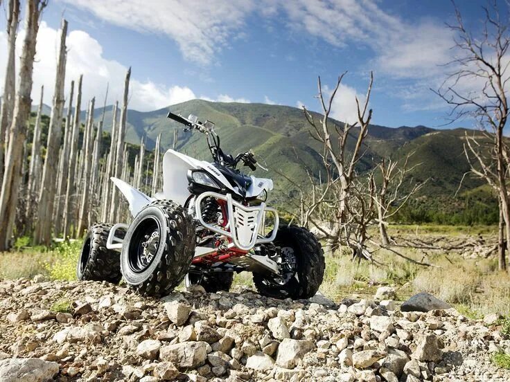 Yamaha yfm. Yamaha raptor 350. Yamaha yfm. Квадроцикл раптор 700. Квадроцикл гризли 125.