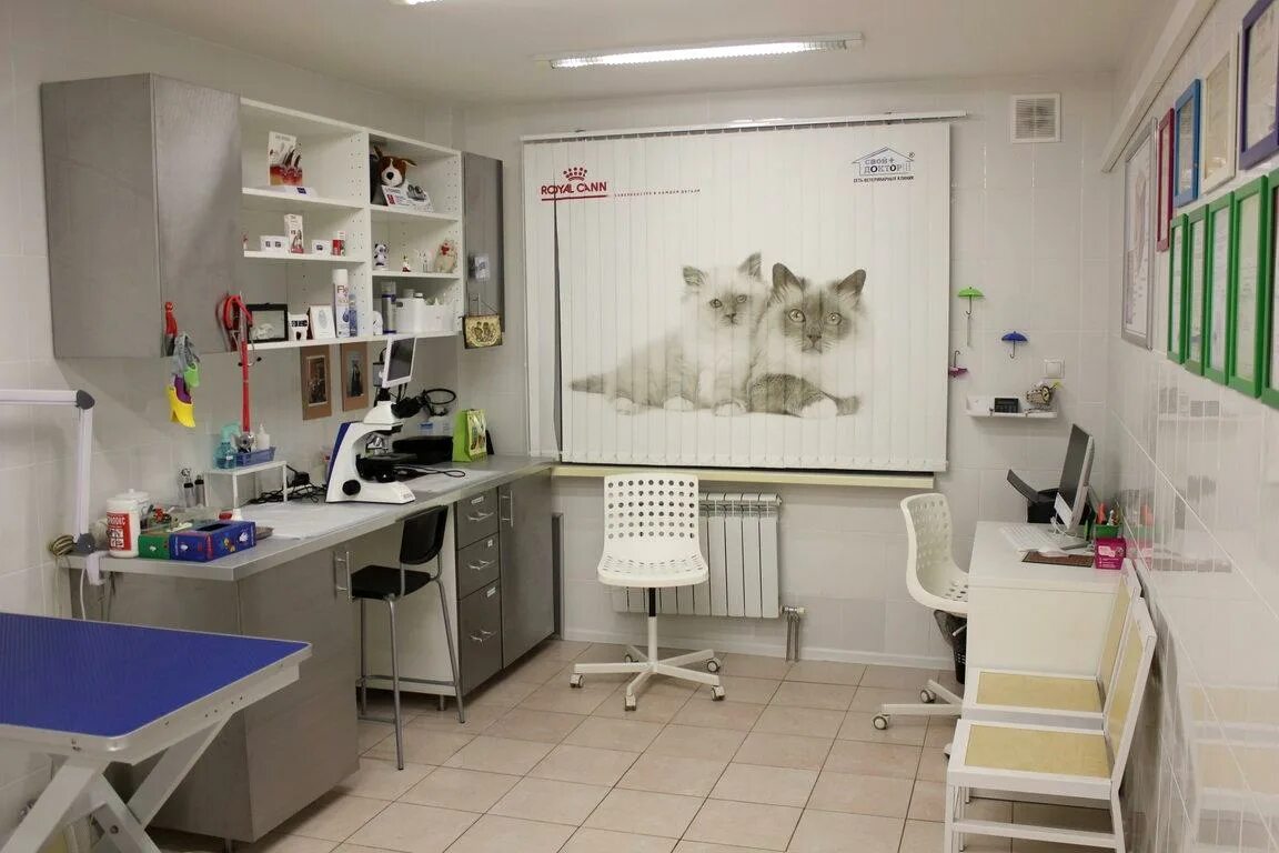 Свой доктор кузьминки. Ветеринарная клиника в кузьминках. ветеринарка кузьминки. ветклиника свой доктор сталеваров.