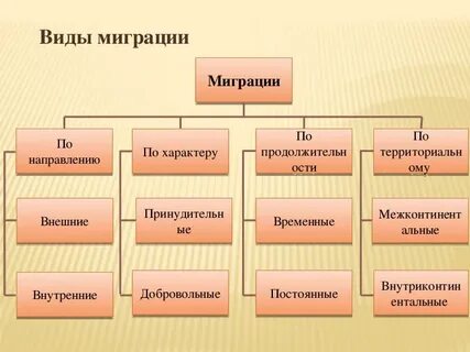 Типы миграции населения