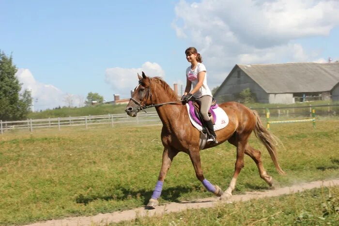конно спортивный клуб jump новокузнецк. конноспортивная школа 15 дагомыс. мбу конного спорта. конная школа исток екатеринбург. конная школа исток екатеринбург.