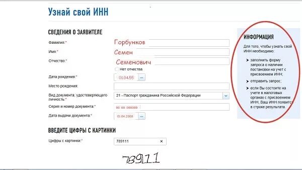 Номер инн на сайте. ИНН узнать. Узнать свой ИНН. ИНН ребенка по СВИДЕТЕЛЬСТВУ О рождении.