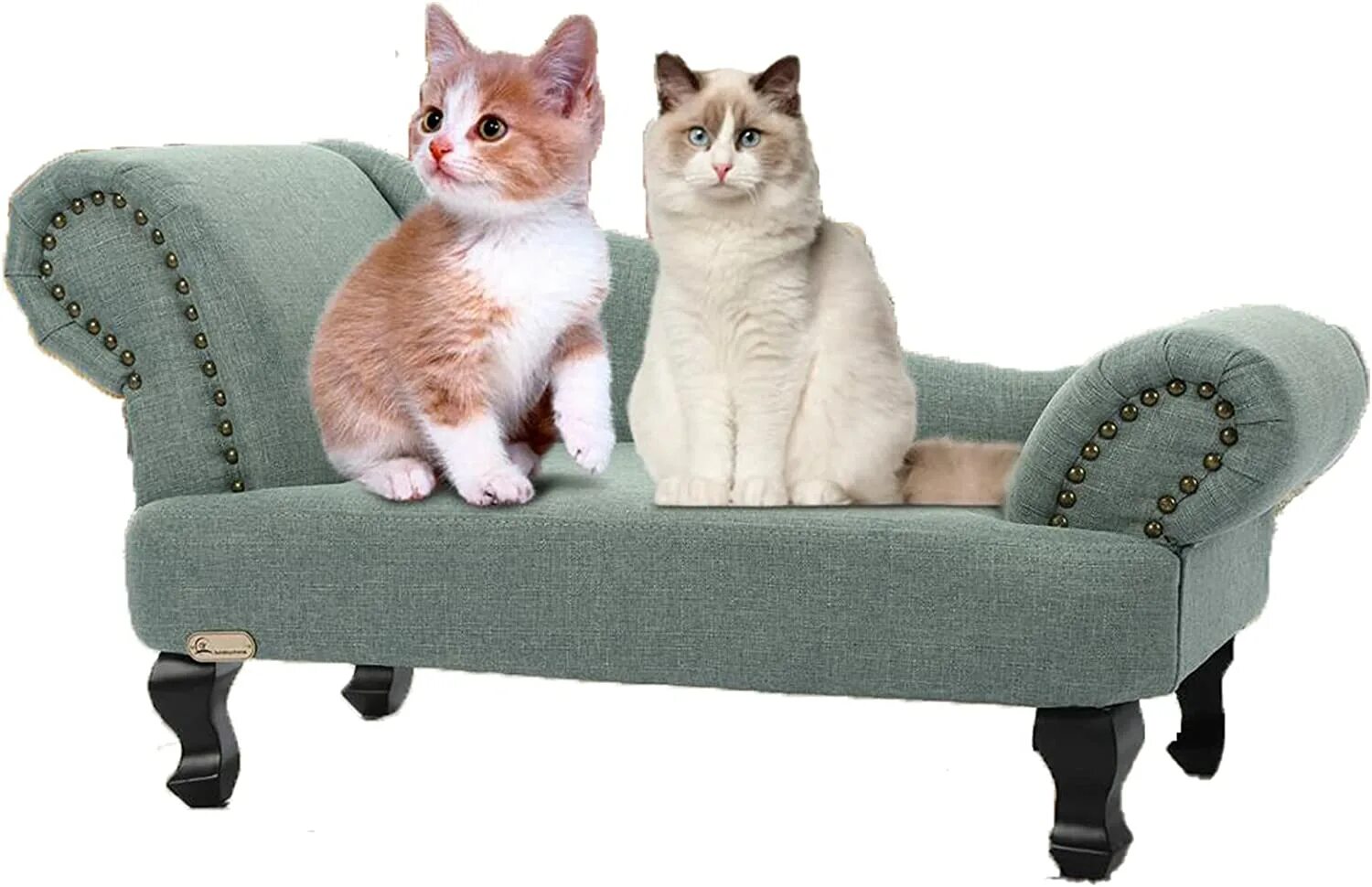 Cat sofa розовые. Кэт софа дутыши. Cat Sofa кроссовки. Кат анд софа. Кошка софа.