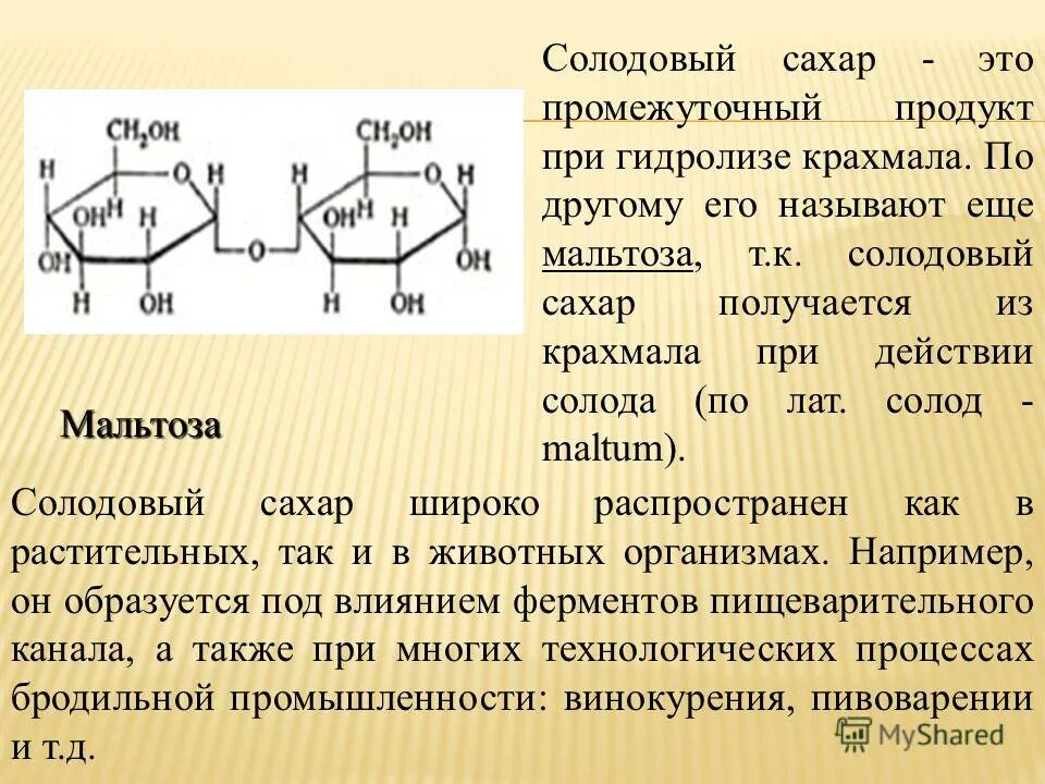 Сахароза биологическая роль. Формула мальтозы и изомальтозы. Мальтоза строение. Мальтоза структура. Мальтоза формула.