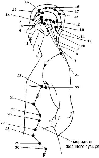 Точки меридиана желчного пузыря на голове. Канал желчного пузыря акупунктурные точки. Меридиан желчного пузыря на голове. Меридиан желчного пузыря точки.