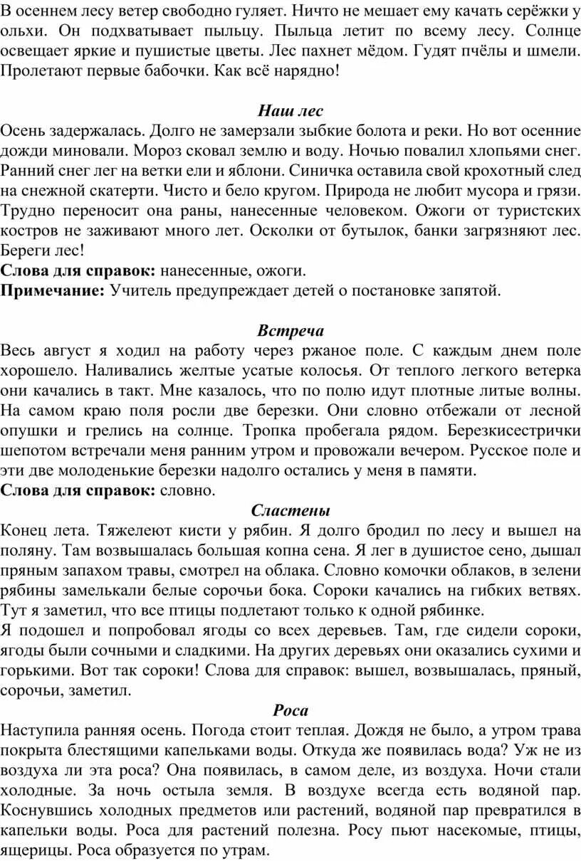 В весеннем лесу ветер свободно гуляет