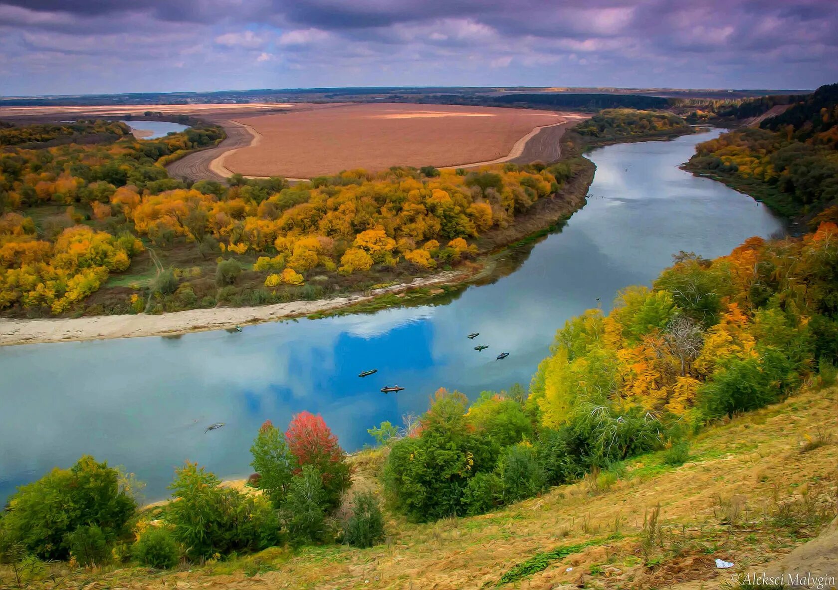 Природа Воронежской области река Дон. Река Дон в Ростовской области. Кривоборье Липецкая область. Природа реки Дон Ростовская область.