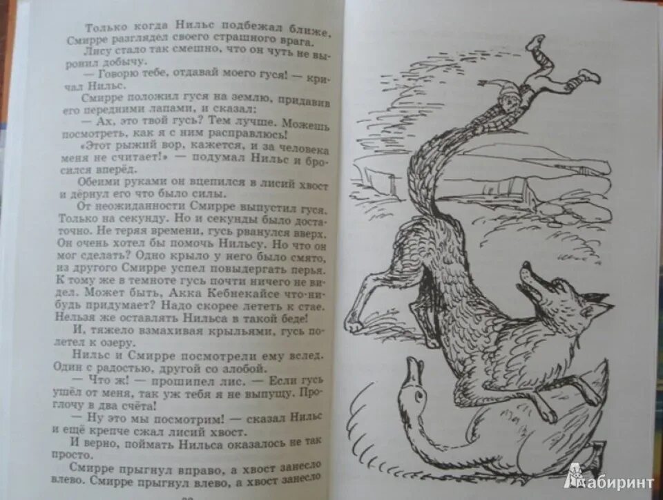 Путешествие с дикими гусями глава. Путешествие Нильса с дикими гусями советское издание. Путешествие Нильса с дикими гусями иллюстрации черно. Путешествие Нильса с дикими гусями книга иллюстрации Панкова. Лагерлёф путешествие Нильса с дикими гусямираскраска.