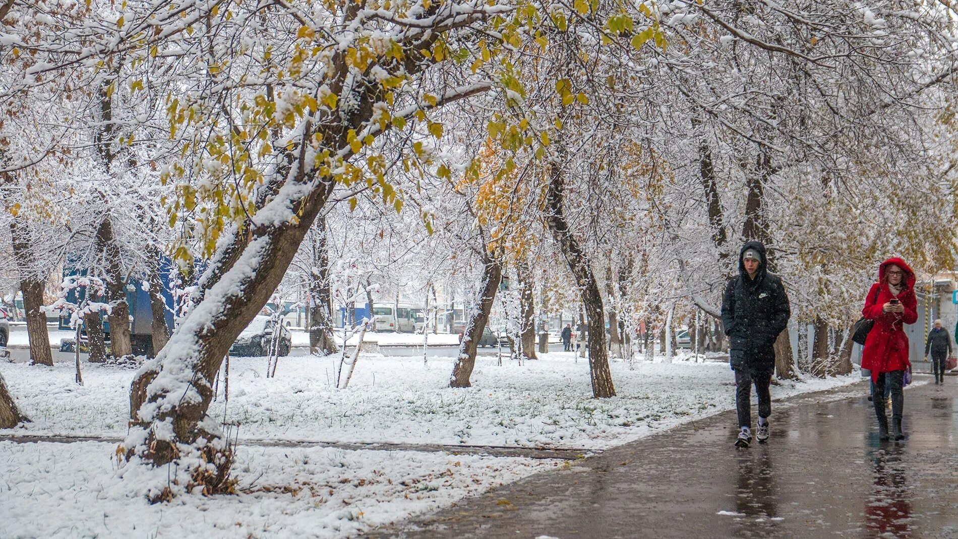 Самые теплые зимы в городе. Первый снег в самаре. теплая погода зимой. март в городе.