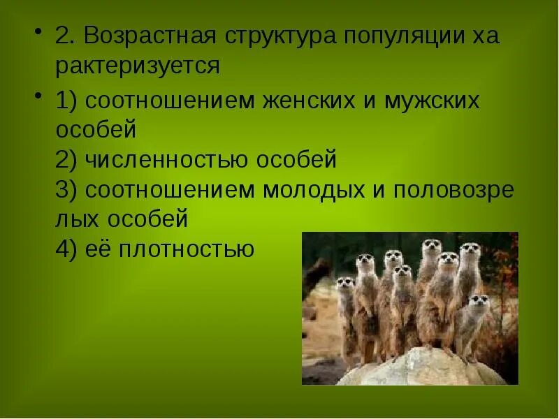 Характеристика популяций возрастная структура. Возрастная структура популяции. Возрастная структура популяции структура. Популяция животных. Половая структура популяции.