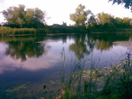 Волгоградская область село матышево