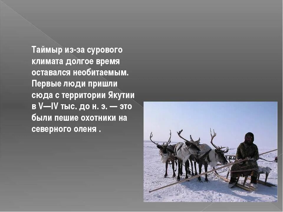 Случилось это весной на таймыре основная мысль. Полуостров Таймыр презентация. Презентация на тему тундры на полуострове Таймыр. Полуостров Таймыр география. Климат Таймыра.