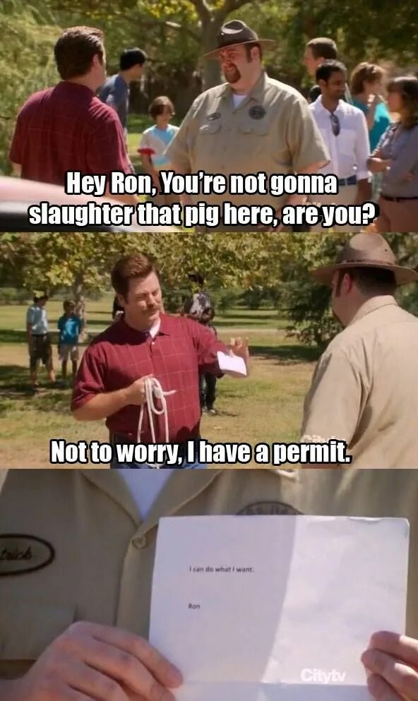I ll do whatever i want. I.can.do what i want Мем. Ron Swanson memes. Парки и зоны отдыха мемы. Мем из фильма парки и законы.