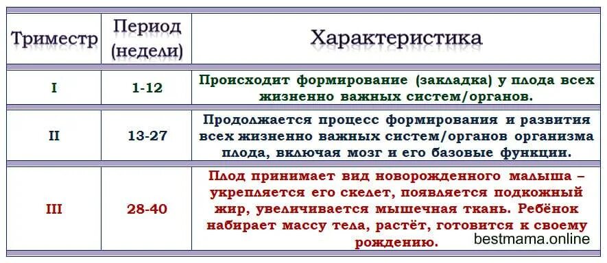 3 триместр сроки. Формирование органов у плода по неделям таблица. Этапы внутриутробного развития плода по неделям. Таблица внутриутробное развитие плода. Этапы внутриутробного развития плода таблица.