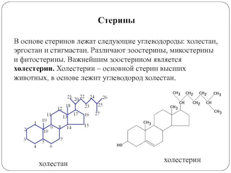 Формула холестерола. Стерины и стероиды. Стерины- , стериды - , стероиды. Холестерин формула структурная. В основе структуры холестерина лежит:.