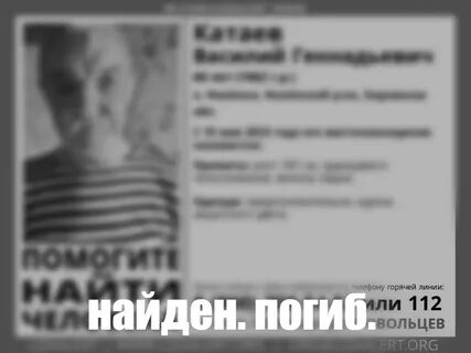 Горячей линии по пропавшим без вести