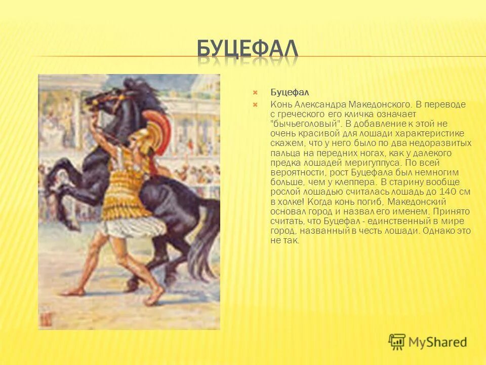 Palc буцефал. буцефал текст. сообщение про буцефала. александр македонский и буцефал. кличка коня александра македонского.