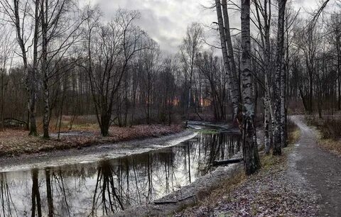 Поздняя осень отзывы