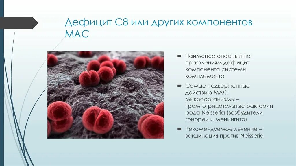 Дефицит комплемента. Дефицит с3 компонента комплемента. дефицит терминальных компонентов комплемента.. дефекты системы комплемента. патология системы комплемента.