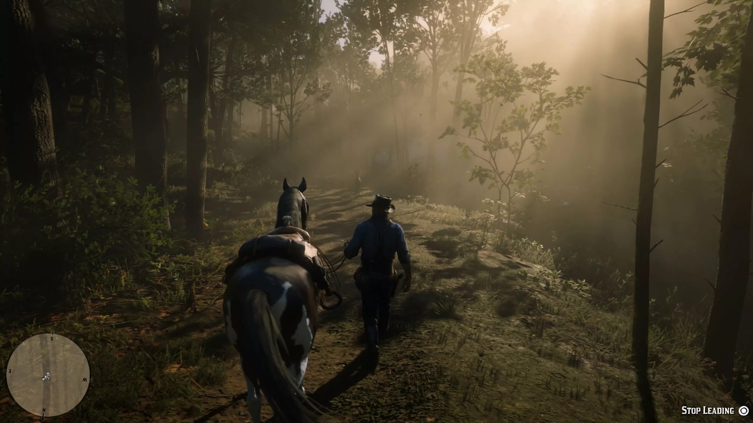Версии rdr 2
