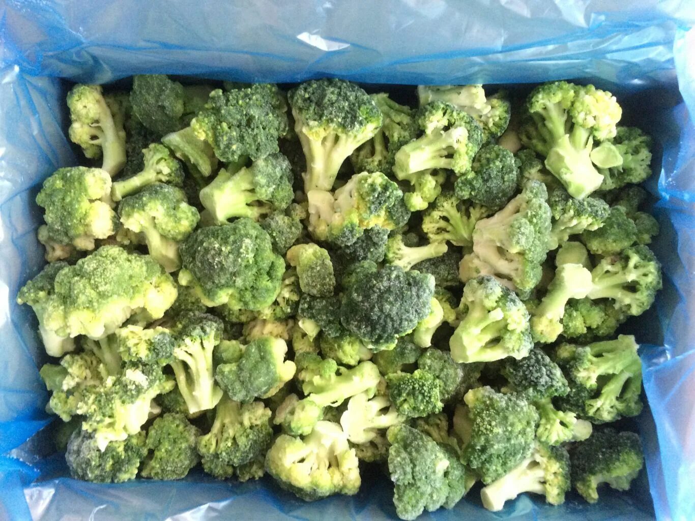 Капуста брокколи замороженная. Брокколи замороженная. Брокколи весовые,10кг. Капуста брокколи заморозка. Замороженные овощи брокколи.