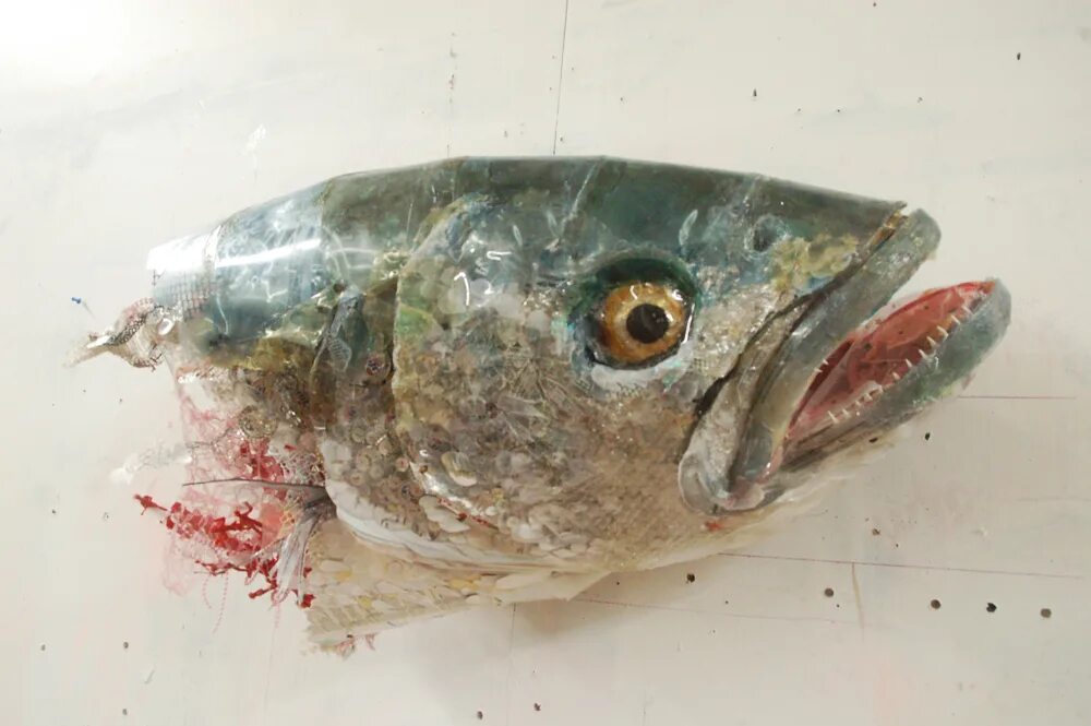 тихоокеанский палтус. Old fish. Old fish. золотая рыбка раскраска. Old fish.