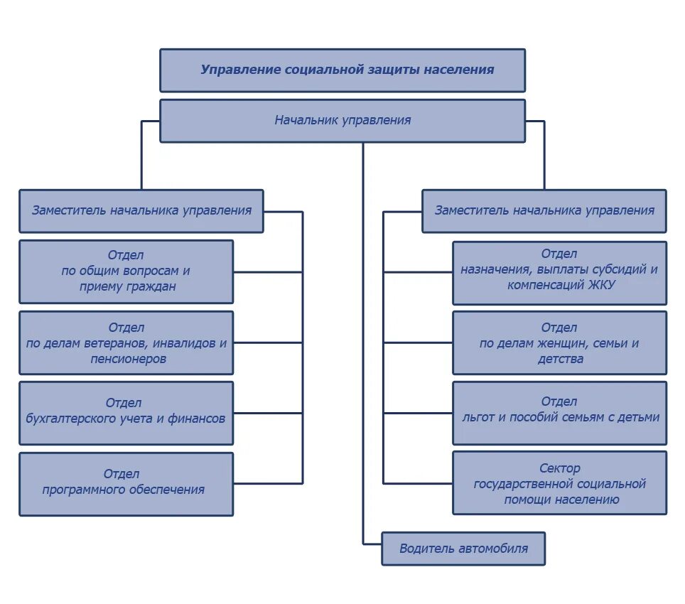 Структурные подразделения учреждений социальной защиты населения. Организационная структура соцзащиты. Организационная структура УСЗН схема. Структура территориальных органов социальной защиты населения схема. Схема организационной структуры управления соцзащиты.