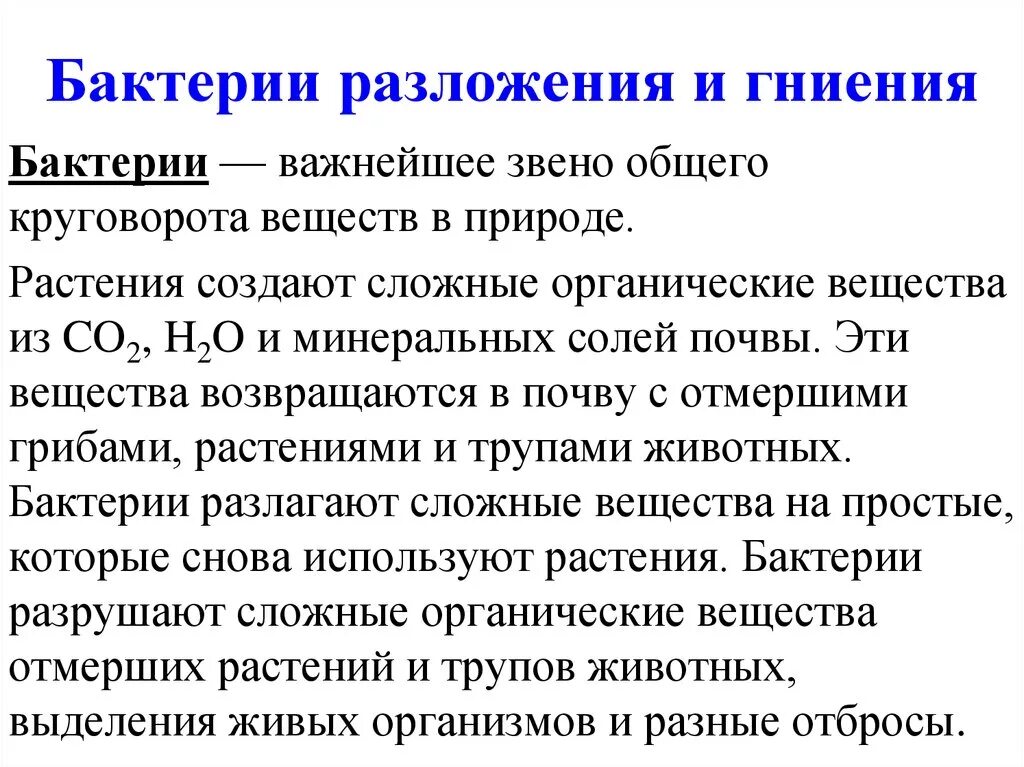 Бактерии гниения значение. Бактерии гниения. Бактерии разложения и гниения. Бактерии гниения 5 класс биология. Роль бактерий разложения и гниения.