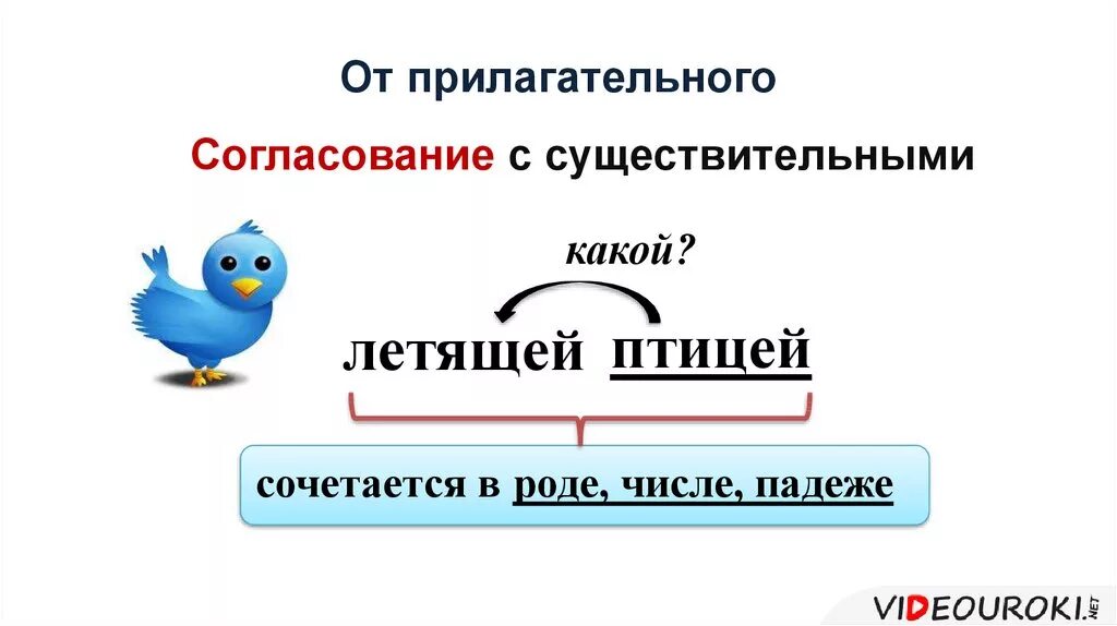 Птицы существительные слова. Согласование прилагательного с существительным в роде и числе. Согласование имен прилагательных с существительными в роде числе. Согласование существительных с прилагательными правило. Согласование имен существительных с прилагательными.