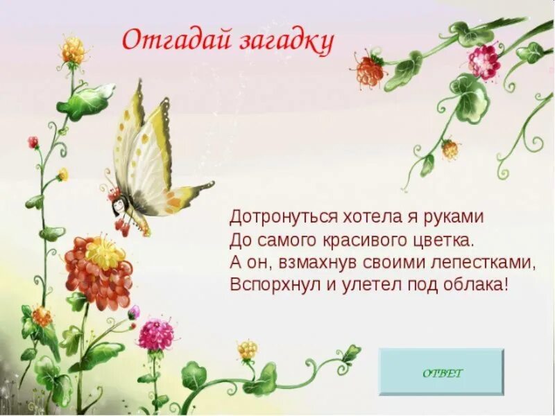 Стихотворение мотылек и цветы